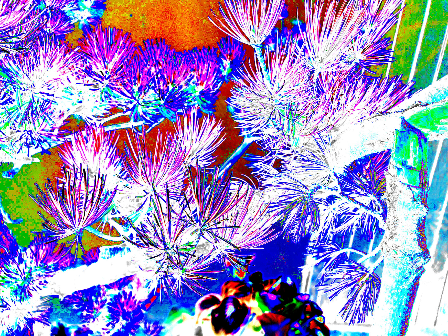 Untitled Untitled